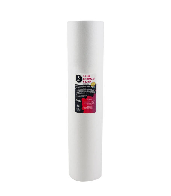 BB-20-05 Big Blue Sediment Filtre