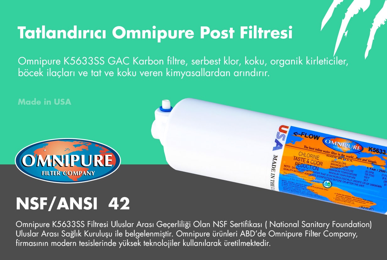 Omnipure K5633SS post karbon filtresi