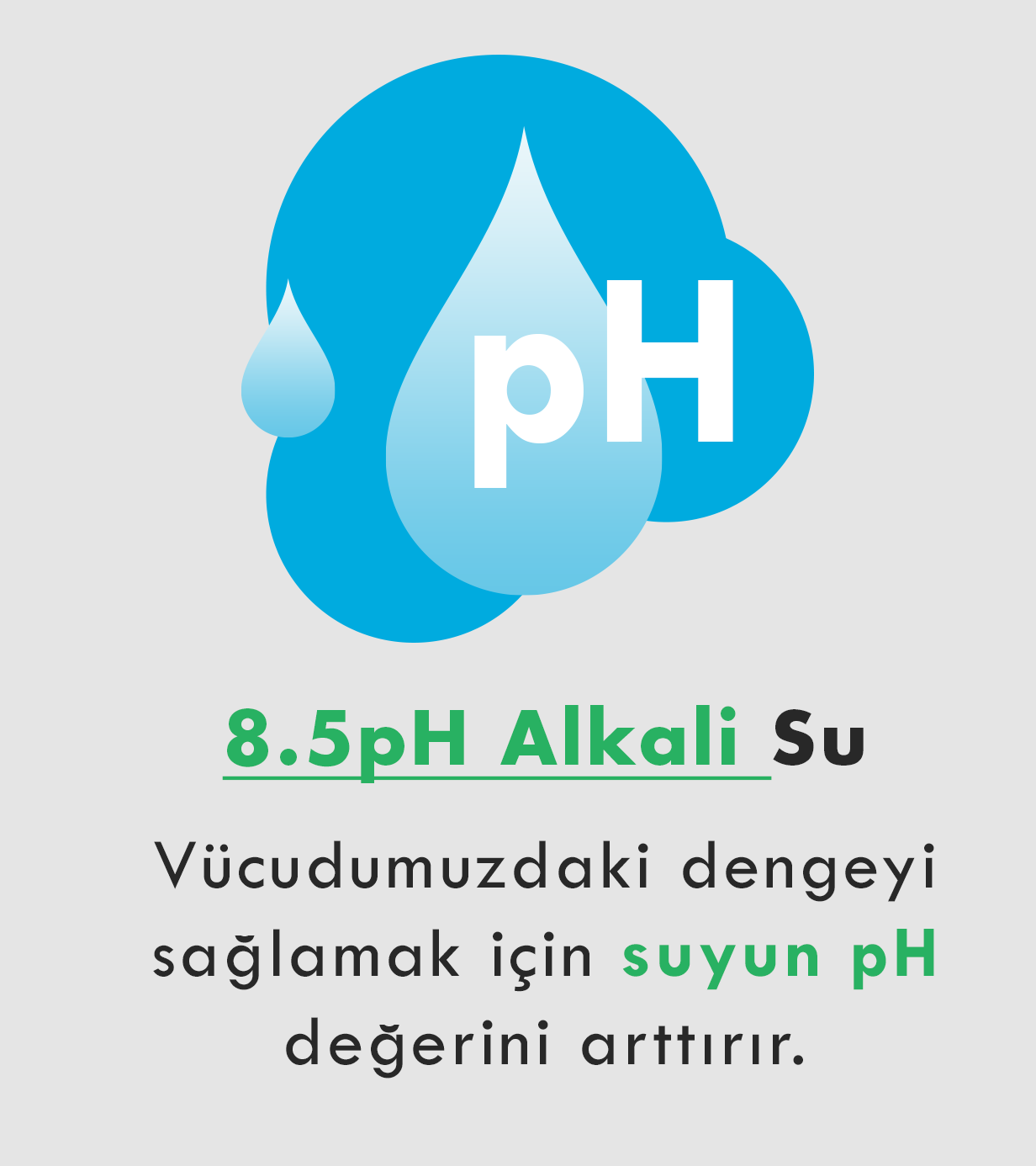 Alkaliler afişlerdir