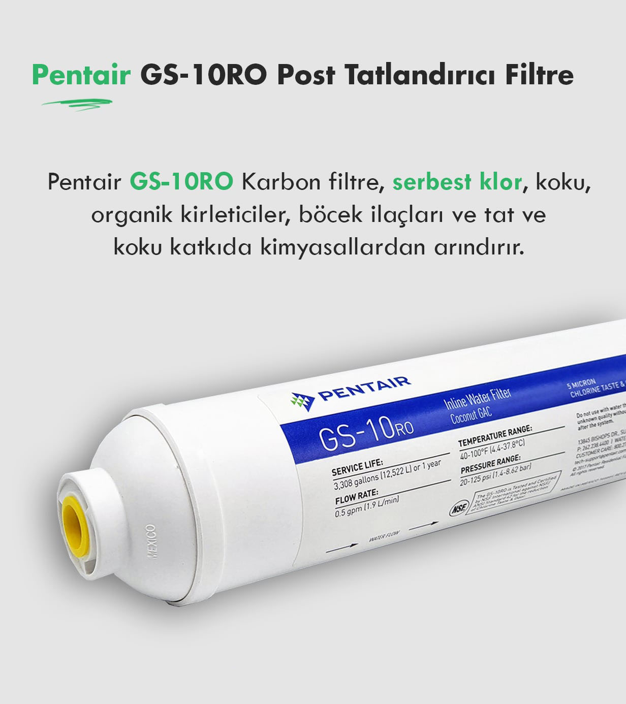 Pentair GS-10RO Post karbon