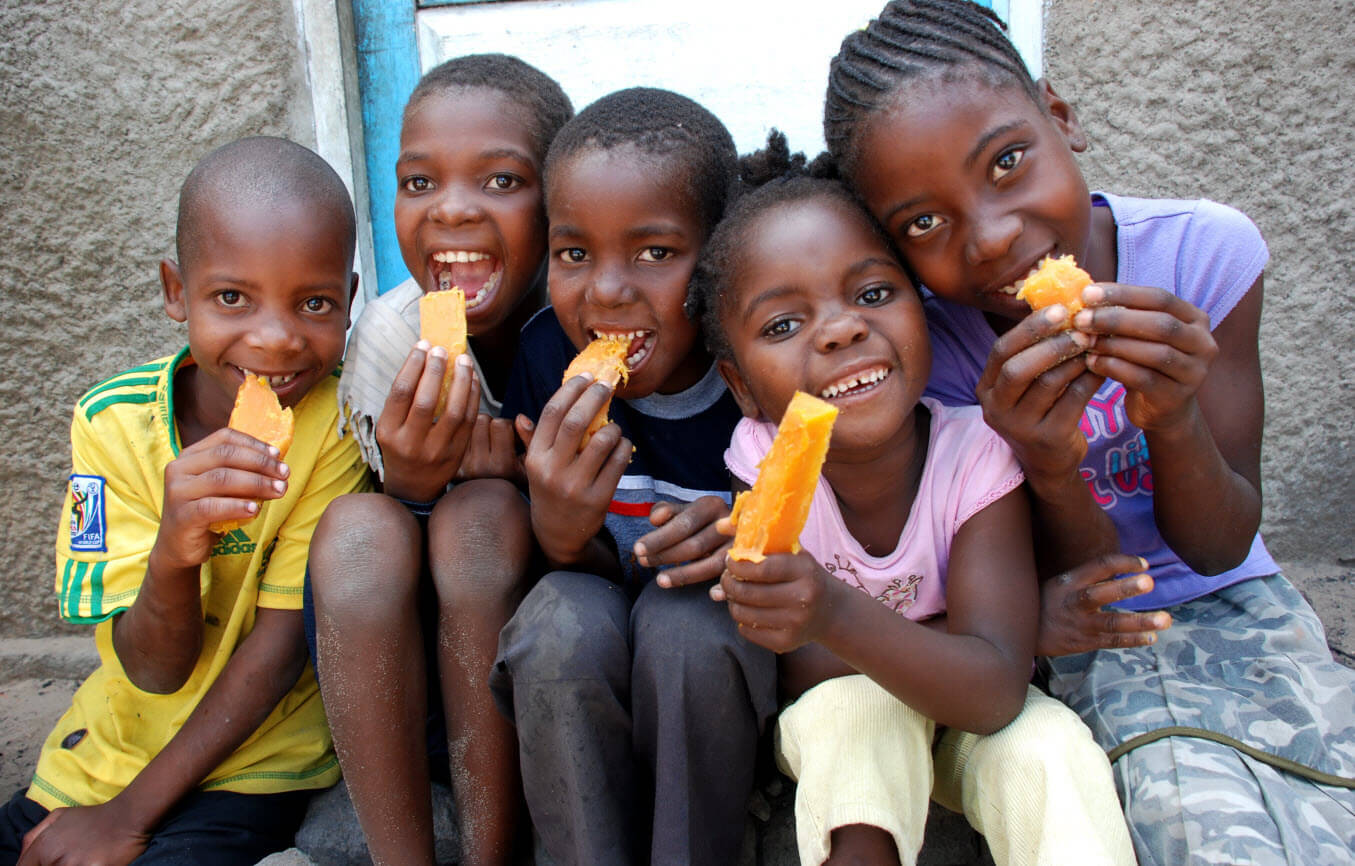 Talking Biotech: The story of a vitamin-infused sweet potato that helped  cut Africa's infant mortality 25 percent | Genetic Literacy Project