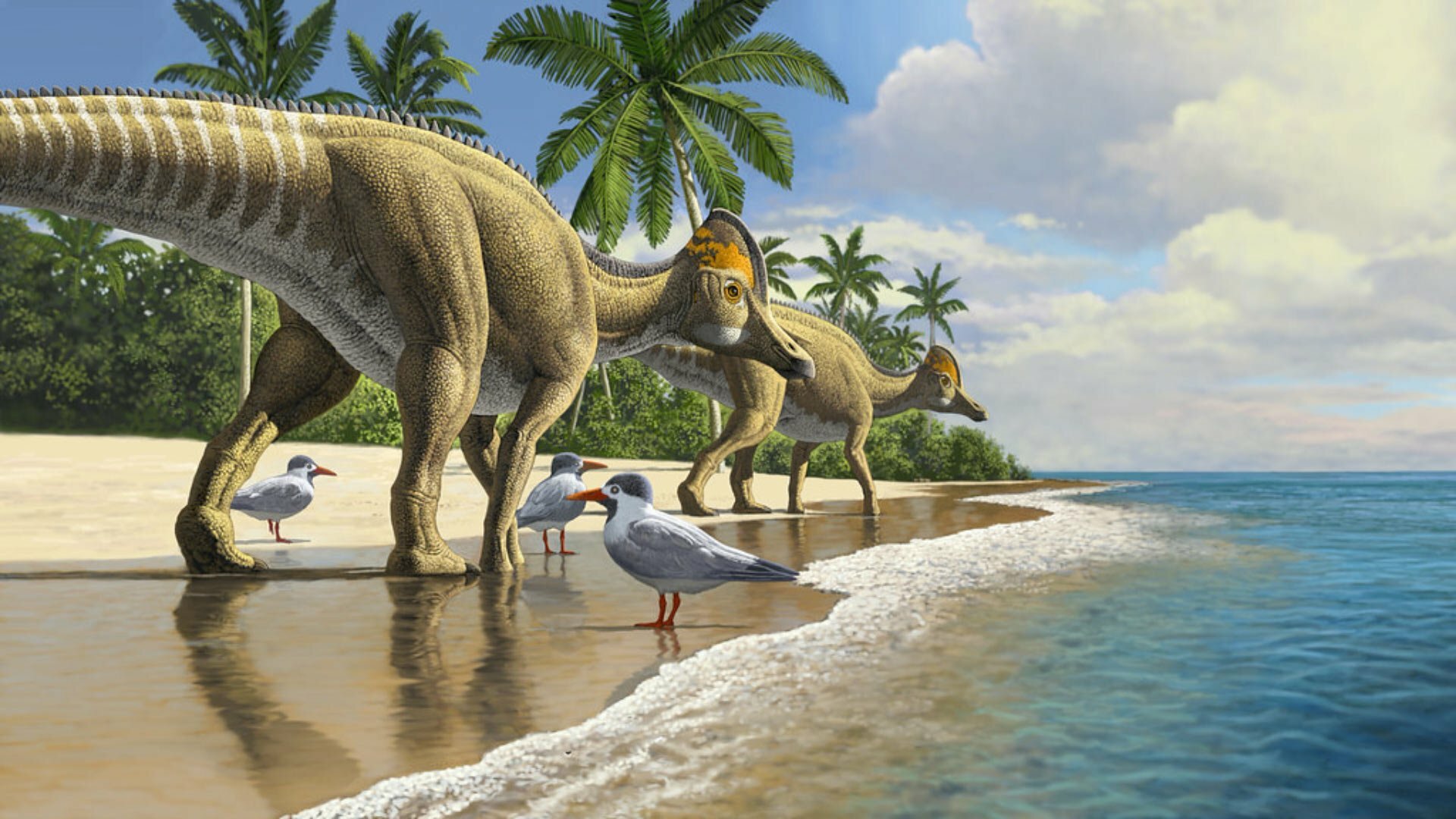 Okyanusları Aşabilen Karasal Bir Dinozor Türü Keşfedildi