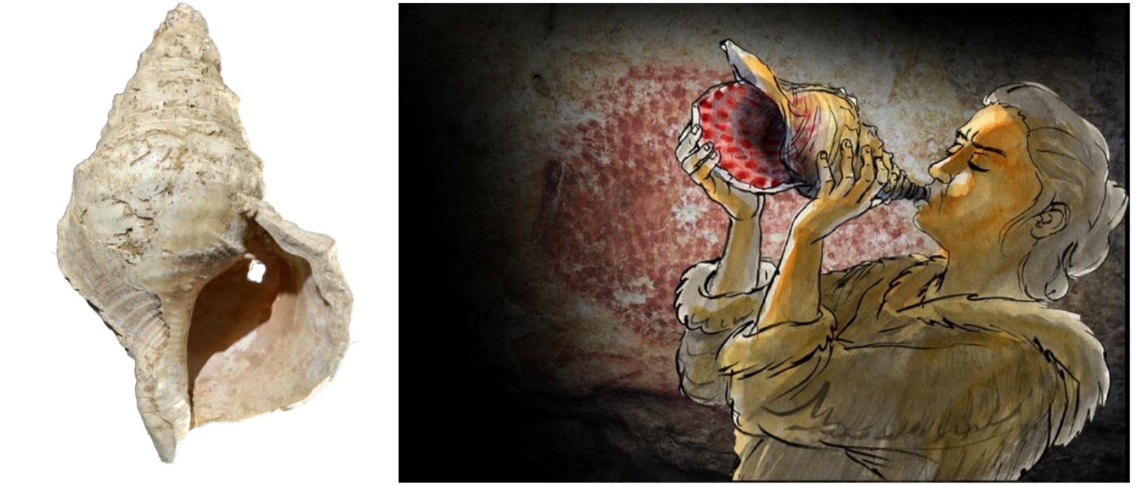 Antik Deniz Kabuğu, 18.000 Yıl Sonra Tınlıyor